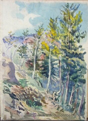 Art: 1840.- Acuarela 85x25. Bosque. G. PASCUAL
