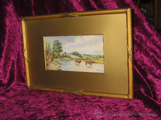 Art: ACUARELA DE UN PRADO CON DOS VACAS - FIRMA C.W TAYLOR DE 1921 -