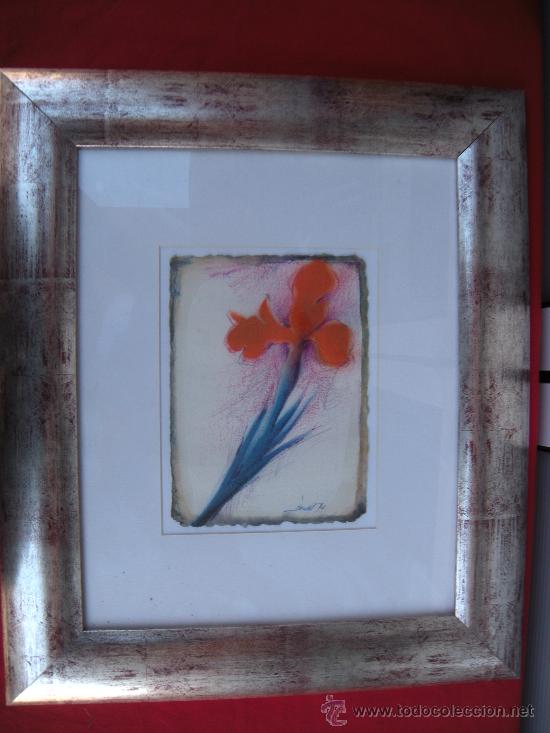 Arte: CUADRO FLOR IRIS DE FRANC&Iacute;SCO C&Aacute;NOVAS. MURCIA - Foto 2