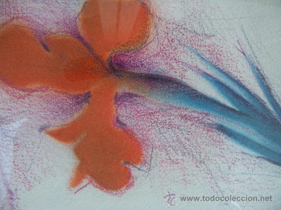 Arte: CUADRO FLOR IRIS DE FRANC&Iacute;SCO C&Aacute;NOVAS. MURCIA - Foto 5