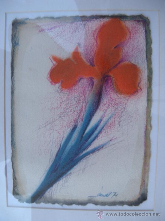 Arte: CUADRO FLOR IRIS DE FRANC&Iacute;SCO C&Aacute;NOVAS. MURCIA - Foto 1