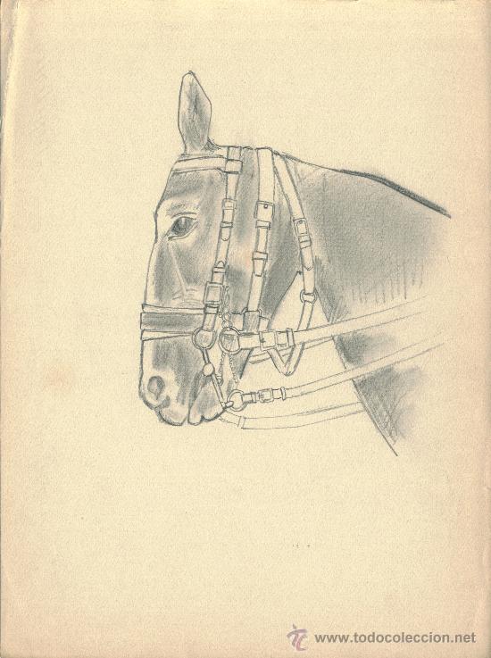 Arte: Cabeza de caballo. Dibujo a l&aacute;piz - Foto 1