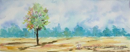 Arte: PRECIOSA ACUARELA ORIGINAL DE LA ARTISTA ANA GREGORIO