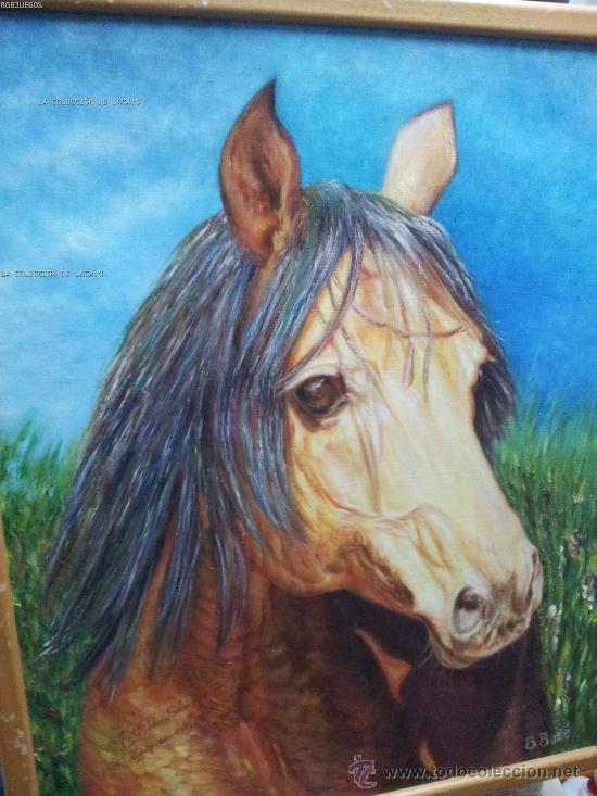 Art: CUADRO CABEZA DE CABALLO