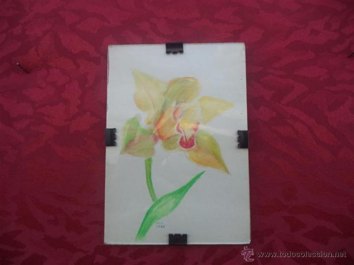 Arte: peque&ntilde;a acuarela flor - Foto 1
