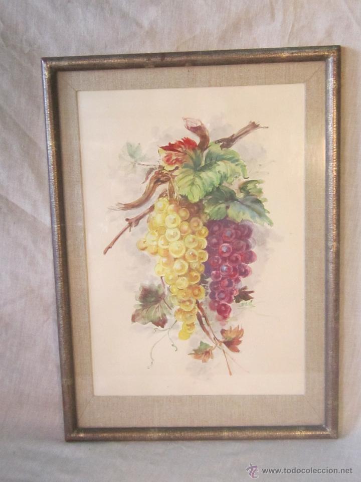 Arte: ACUARELA ORIGINAL FIRMADA - Foto 1