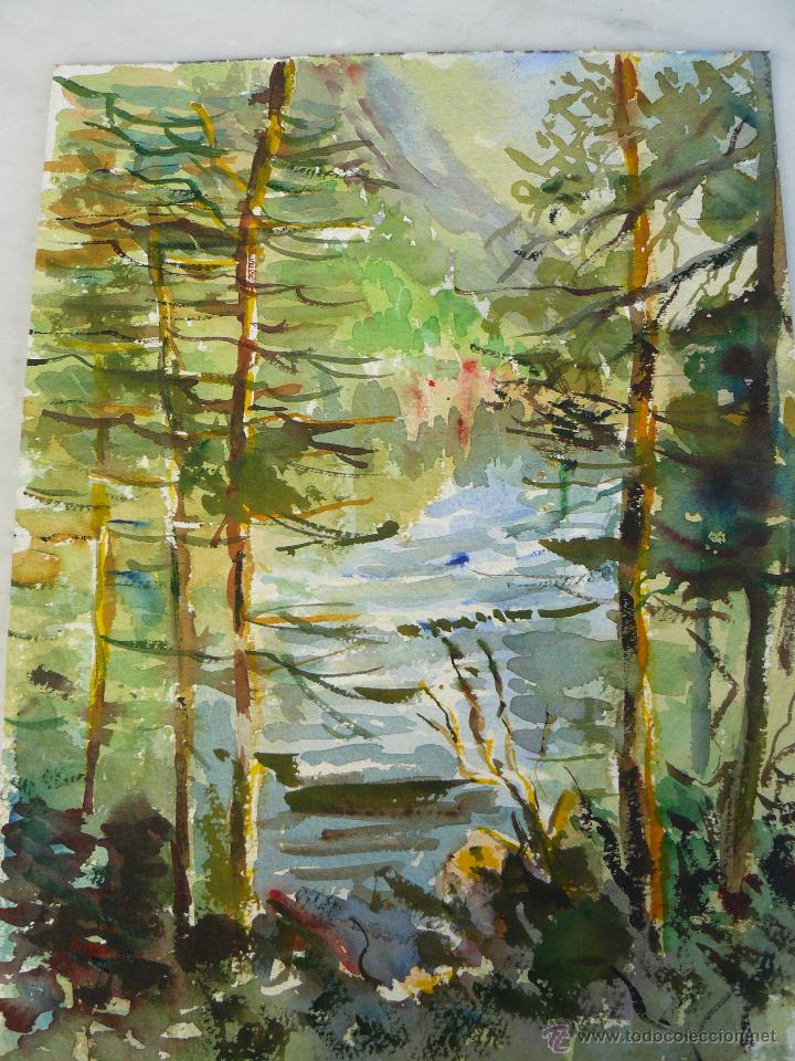 Arte: ACUARELA - AN&Oacute;NIMA - BOSQUE - Foto 1