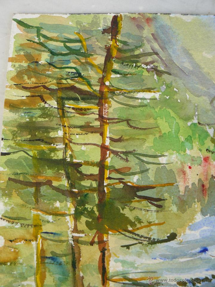 Arte: ACUARELA - AN&Oacute;NIMA - BOSQUE - Foto 2