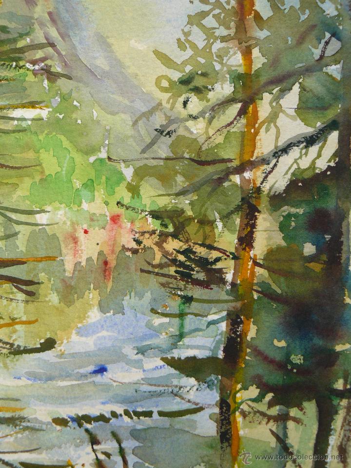 Arte: ACUARELA - AN&Oacute;NIMA - BOSQUE - Foto 3
