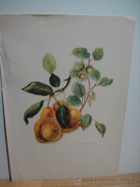 Arte: lamina con acuarela - c. ferrer b. - Foto 1