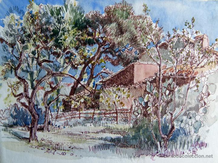 Arte: Acuarela firmada Eileen Crawfurd - Foto 1