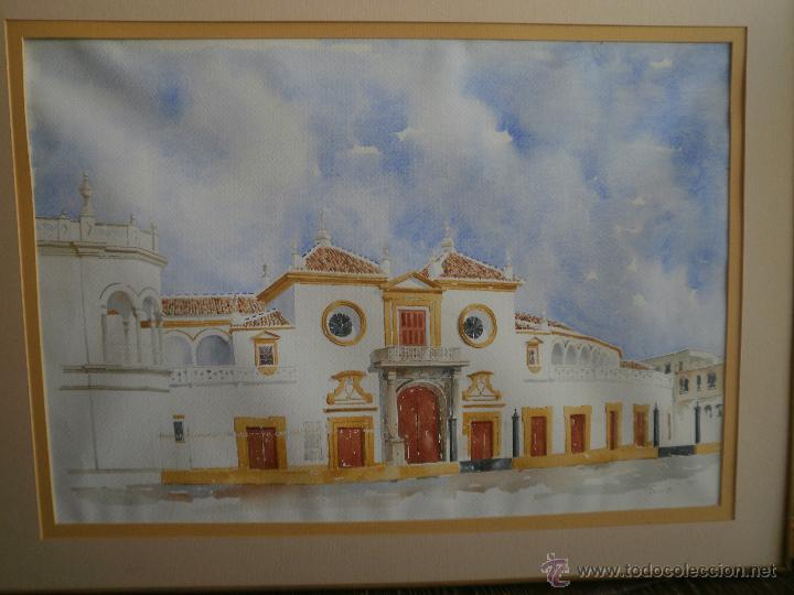 Arte: Acuarela. - Foto 4