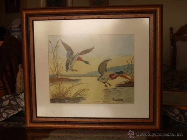 Arte: PAJAROS / ACUARELA - Foto 1