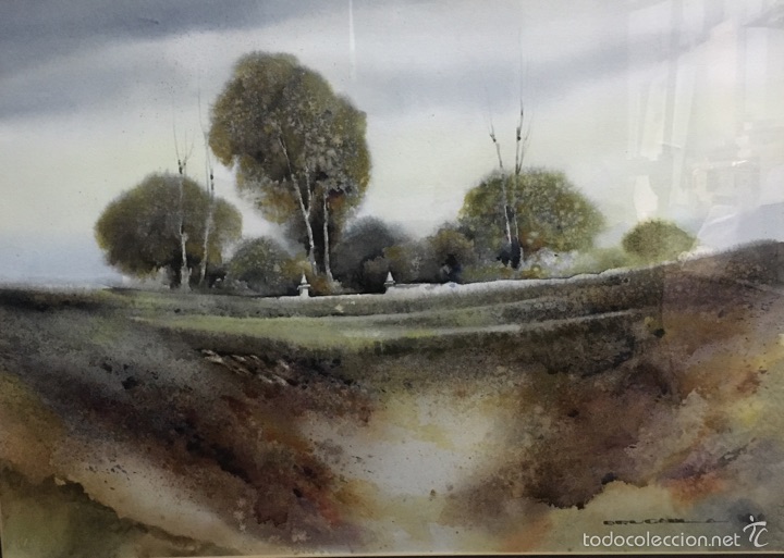 Arte: El bosque de Brugalla - Foto 1