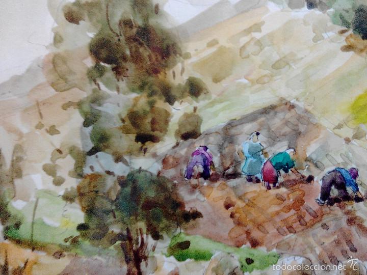 Arte: ACUARELA PINO LA VARDERA - Foto 3