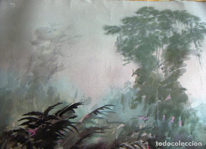 Arte: Acuarela de Eberhard Schlotter - Foto 2