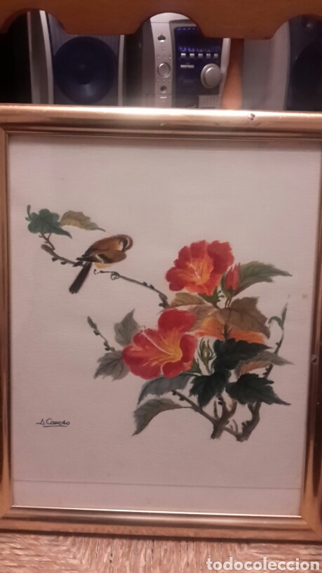 Arte: Acuarela de A.Casado