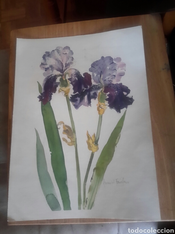 Art: Acuarela firmada por Annabel Fairfax