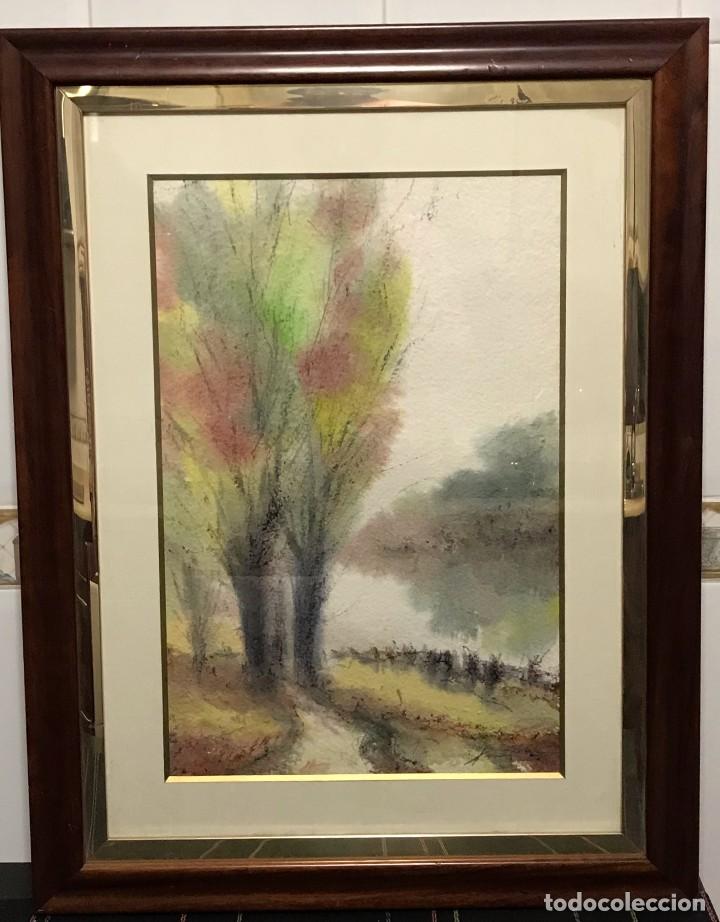 Arte: ACUARELA DE XAVIER GALIZA - Foto 1