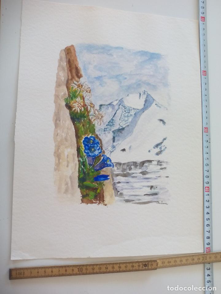 Art: Acuarela firmada por el pintor Br&auml;uer. a&ntilde;os 70, watercolor paint, Aquarellfarbe