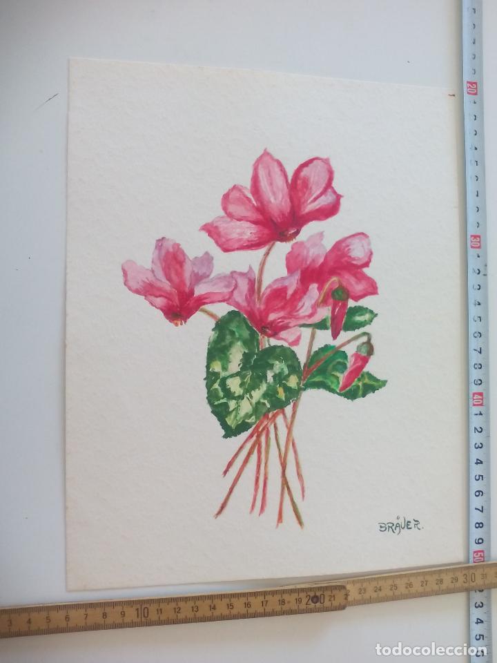 Art: Acuarela firmada por el pintor Br&auml;uer. flor, flores, a&ntilde;os 70, watercolor paint, Aquarellfarbe
