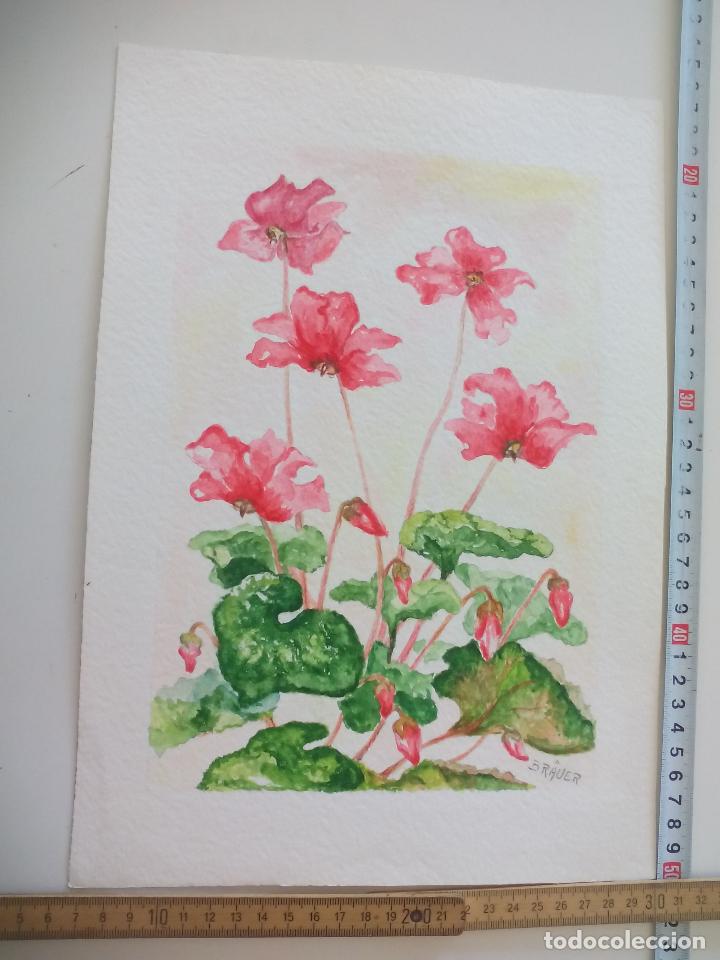 Art: Acuarela firmada por el pintor Br&auml;uer.  flores, a&ntilde;os 70, watercolor paint, Aquarellfarbe