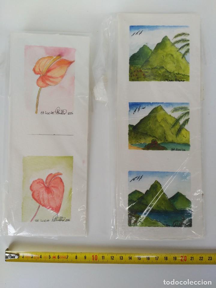 Art: Lote de 2 acuarelas originales firmadas Philip de la isla de Santa Luc&iacute;a