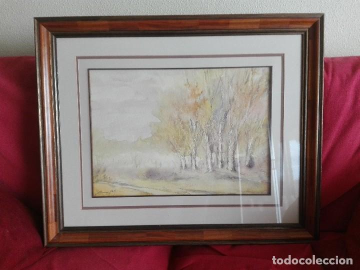 Kunst: ACUARELA ENMARCADA EN MADERA DE RA&Iacute;Z CON FIRMA ILEGIBLE DE 75X60 CMS.