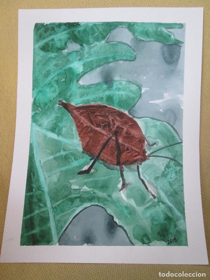 Arte: ACUARELA - INSECTO HOJA - Foto 1