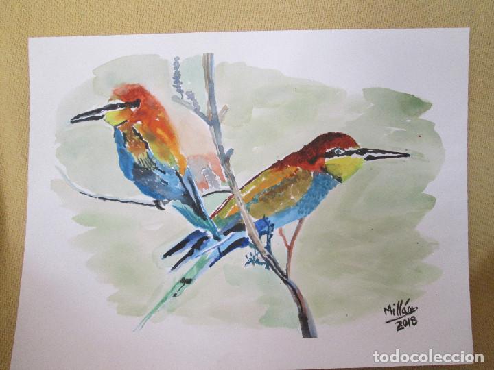 Arte: ACUARELA - ABEJARRUCOS 2 - Foto 1