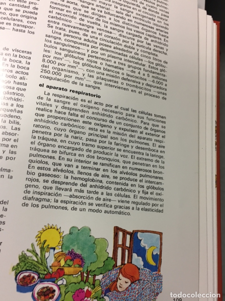 Arte: Boada, Pedro, ilustraci&oacute;n original 1972 - Foto 4