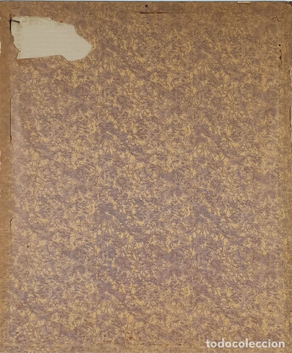 Zus&auml;tzliches Foto 2