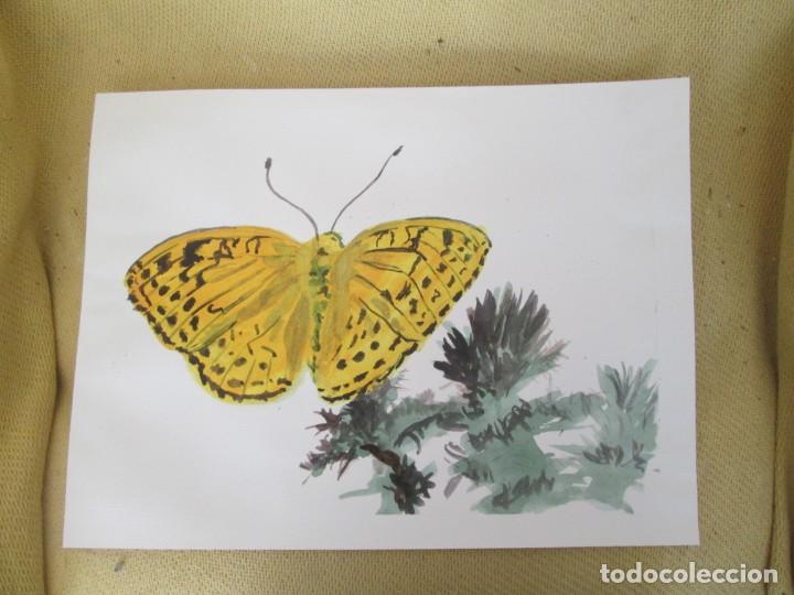Arte: ACUARELA - MARIPOSA - Foto 1