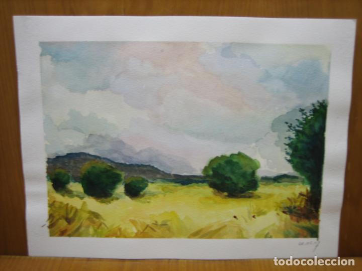 Arte: Bonita acuarela - Foto 1