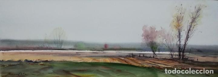 Arte: Marina .Xavier Galiza