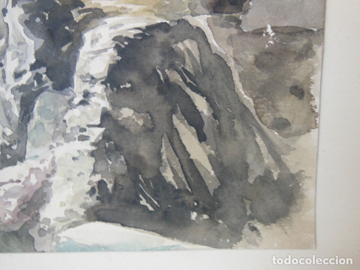 Arte: Acuarela Original : MOJ&Aacute;CAR. Manuel MONLE&Oacute;N. 1964 - Foto 6