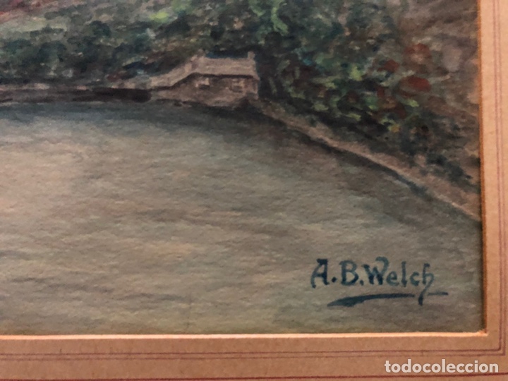 Arte: Dibujo acuarela de Welch - Foto 3