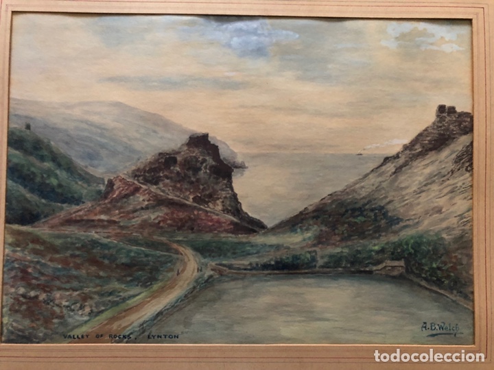 Arte: Dibujo acuarela de Welch - Foto 1