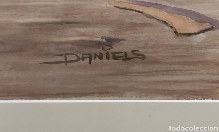 Arte: Gran acuarela Daniels - Foto 4