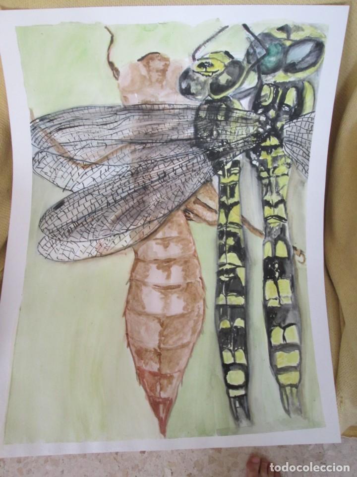 Arte: LIBELULA - Foto 1