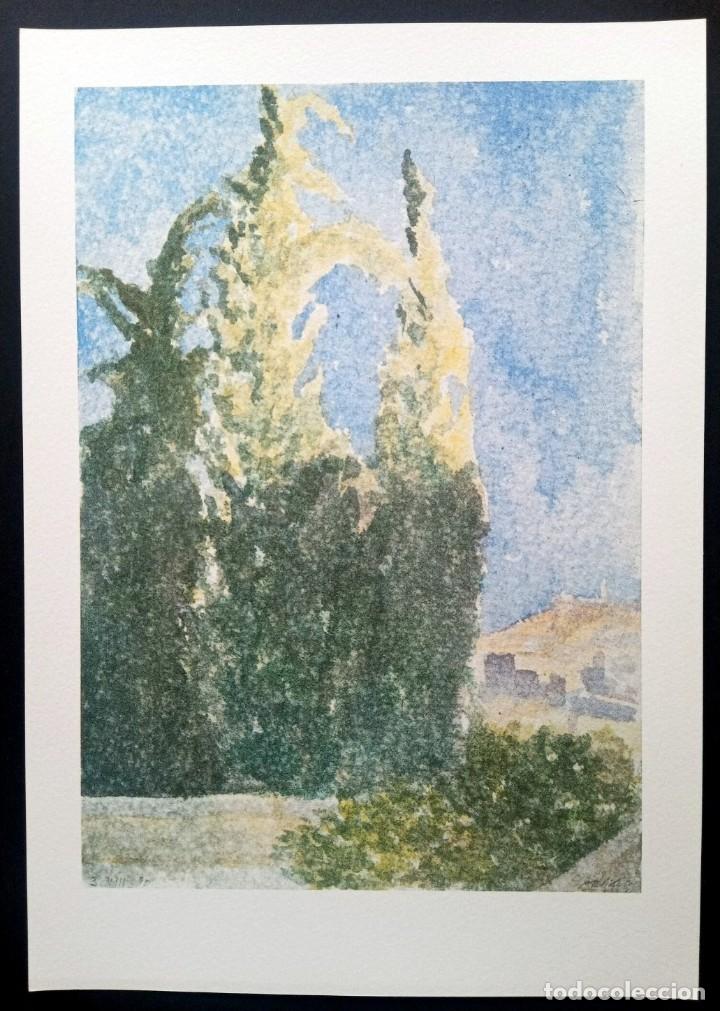 Arte: OFFSET ACUARELA -CYPRES A JERUSALEM - ARIKHA