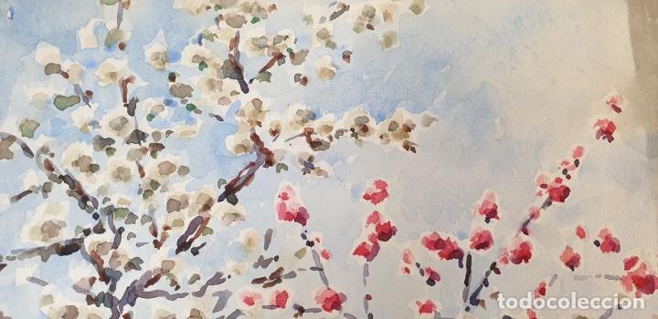 almendros en flor. acuarela sobre papel. atrib. - Acheter Aquarelles  contemporaines du XXe siècle sur todocoleccion