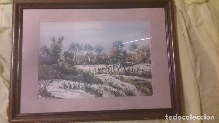 Arte: TOMAS CHICHARRO acuarela paisaje 50x35 ctms