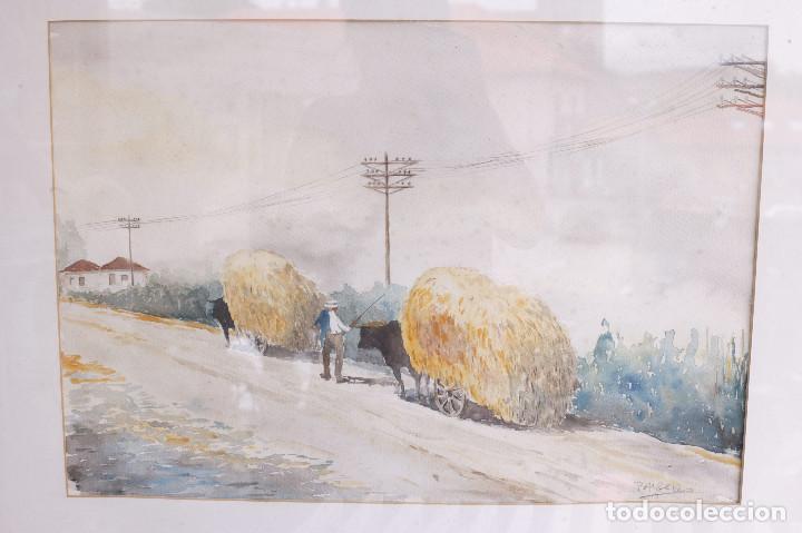 Arte: Acuarela Tema campo - Foto 1