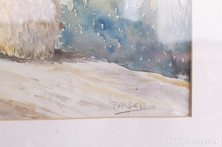 Arte: Acuarela Tema campo - Foto 2