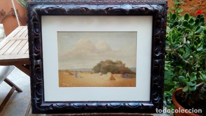 Arte: acuarela E.W.NICHOLSON - Foto 1