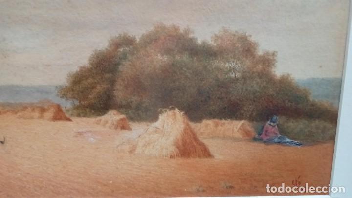 Arte: acuarela E.W.NICHOLSON - Foto 4