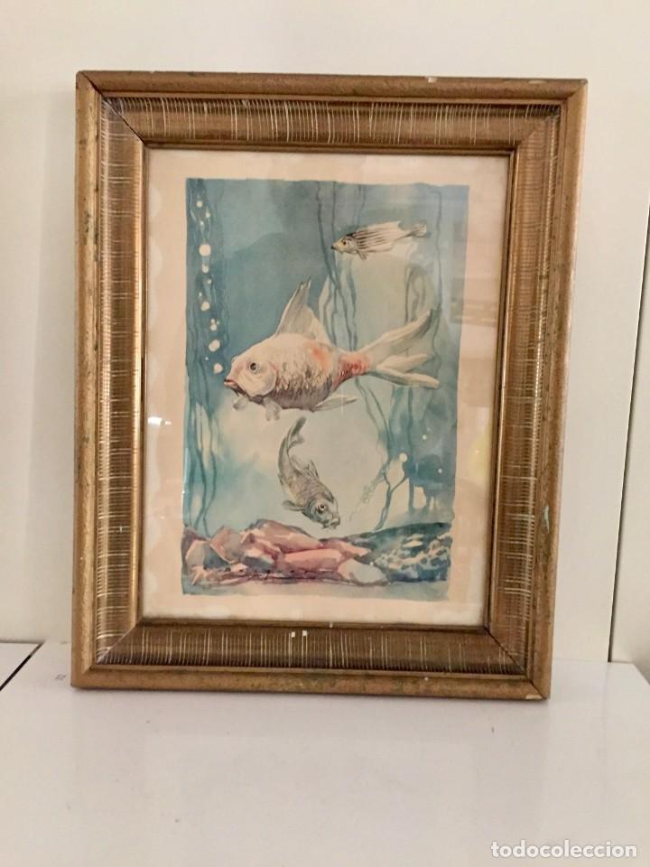 Arte: CARLOS BECQUER , acuarela peces - Foto 3