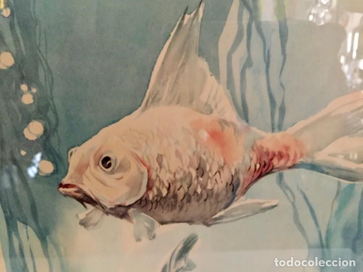 Arte: CARLOS BECQUER , acuarela peces - Foto 5