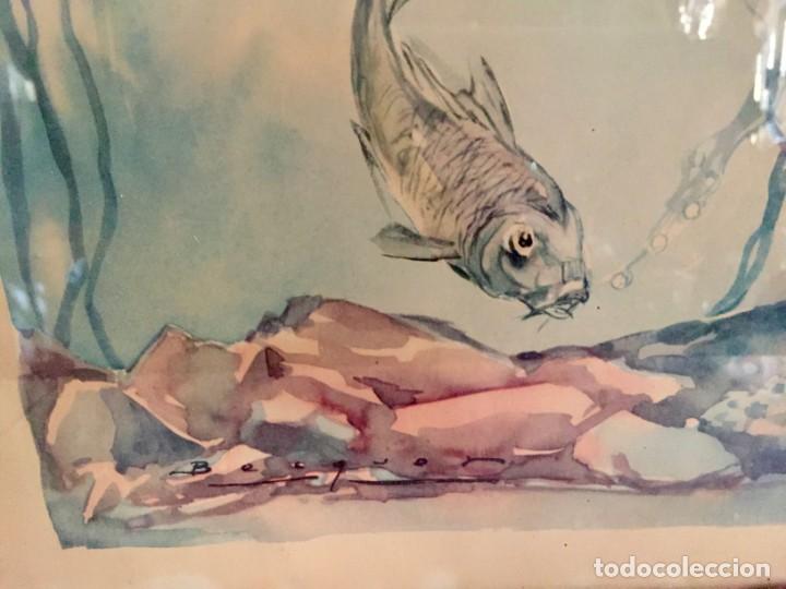 Arte: CARLOS BECQUER , acuarela peces - Foto 6